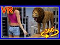 VR 360 Fear Of Heights In Matrix City 05 Animals Falling Oculus 4K 高所恐怖症