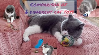 Comparison of 6 cat toys - which toy is more entertaining British Shorthair