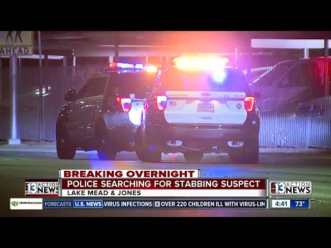 Police searching for stabbing suspect