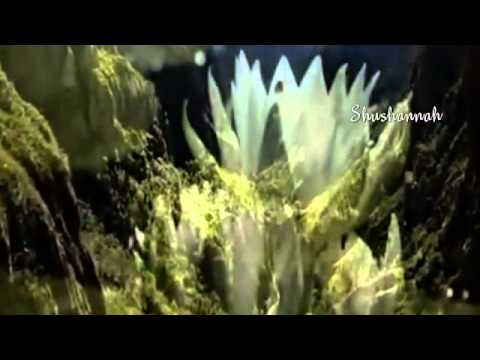 4 and 20 - Joss Stone