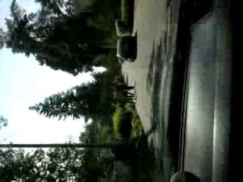 Prosto Mixtape 600V - Strach czy respekt