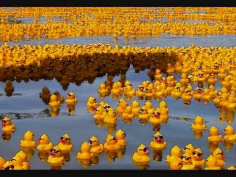 YellowRubberDucks.wmv