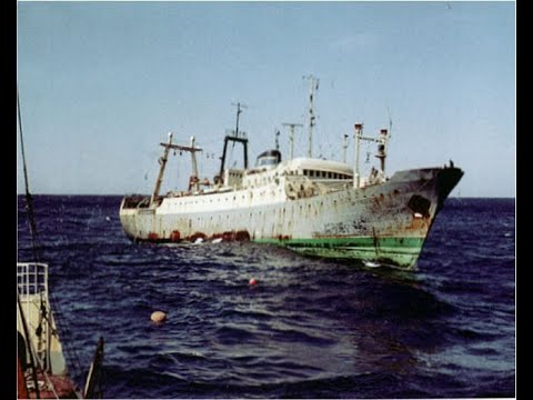 Eine der letzten Reisen des Fang- & Verarbeitungsschitff ROS 304 " Erich Weinert"