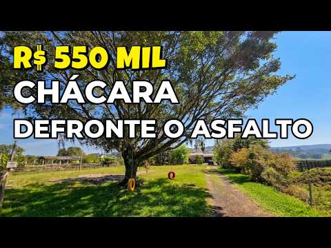 Vídeo
