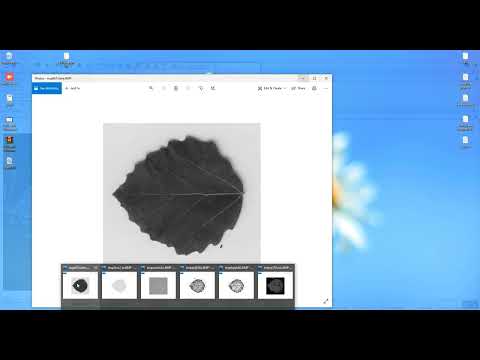 Leaf Vein Image Classification in Python Projects