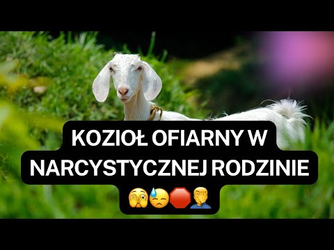 NARCYZ👉KOZIOŁ OFIARNY W NARCYSTYCZNEJ RODZINIE🫣😓🛑🤦‍♂️