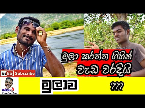 Mulawa /මුලාව / Saika Production) / Sinhala video / Joke video / Comedy Video / Funny video