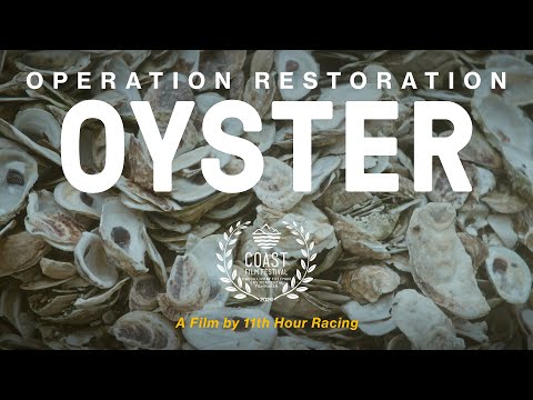 Operation Restoration: OYSTER