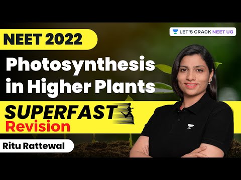 Phoenix 2.0: Biology Most Important Video for NEET 2025 | Udaan