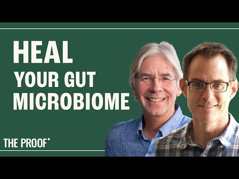 Fermented Foods, Fibre & Immunity | Dr. Sonnenburg & Dr. Gardner | The Proof Podcast Bonus EP