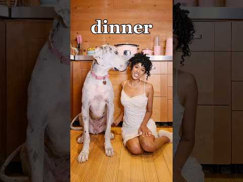 Why does Tallulah eat better than me?😅