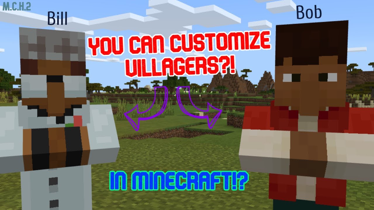 How to get CUSTOM VILLAGERS in Minecraft!