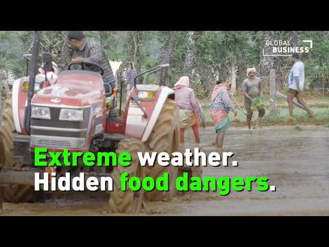 How extreme weather threatens food safety and the global food supply
