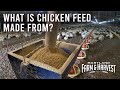 What Is Chicken Feed Made From MD F H