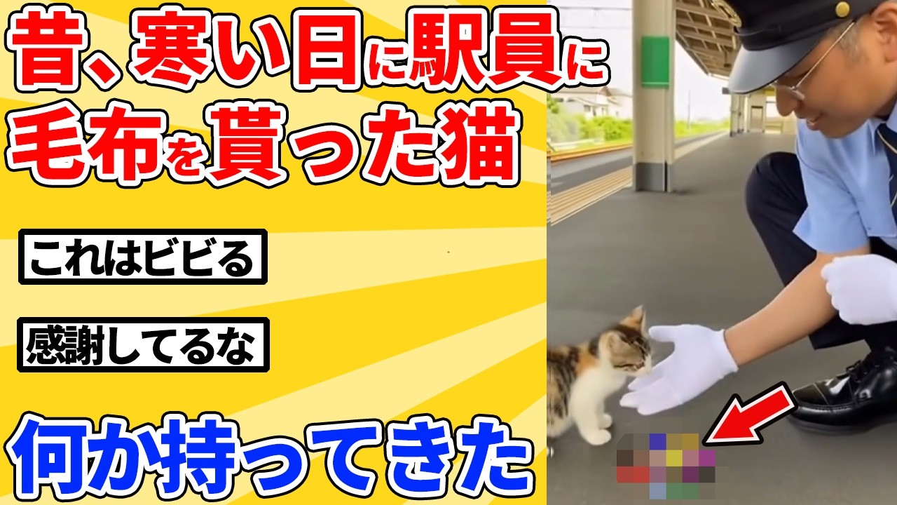【2ch動物スレ】昔、寒い日に駅員に助けられた猫→恩返しに衝撃のプレゼントｗｗｗｗｗ