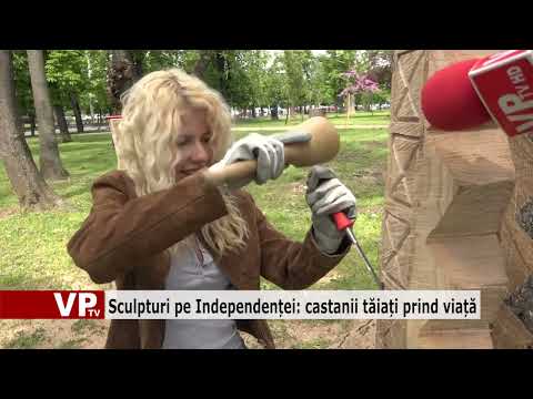 Sculpturi pe Independenței: castanii tăiați prind viață