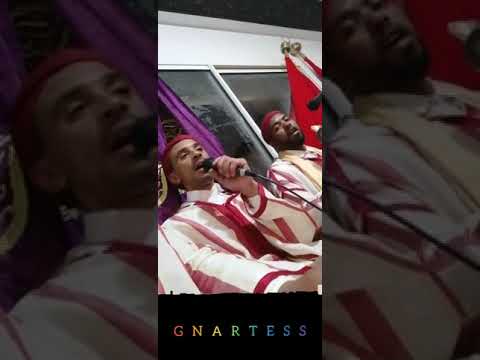 @gnartess #Hamdouchia Màalem Khalid sansi & Nabil katan &Ma9adm Adnan Nafie l2ikhwan🎵❤👏Toop😍