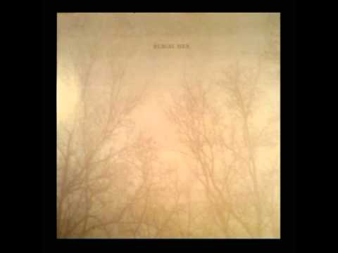 burial hex - a murder of dead crows