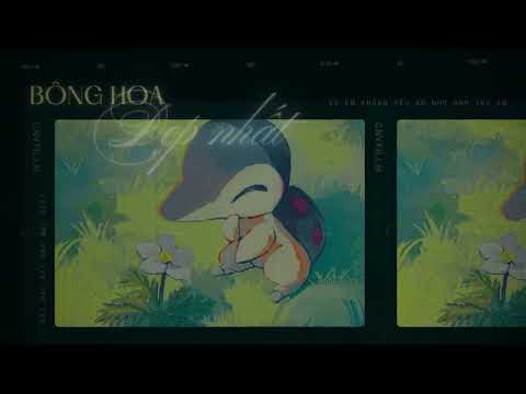 [BARITONE] - BÔNG HOA ĐẸP NHẤT  - KARAOKE TONE NAM TRUNG