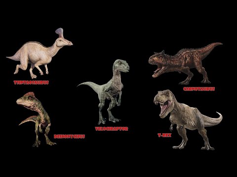 Tyrannosaurus - Rex vs Carnotaurus vs Giganotosaurus vs Velociraptor vs Deinonychus vs Tsintaosaurus