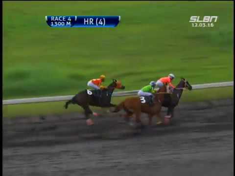 SLLP | Race 4 | 3rd place - #4 Royal Chica | 2016/12/03