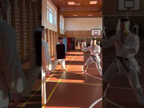 Watanabe-Sensei  demonstrating the importance of twisting the foot of the supporting leg