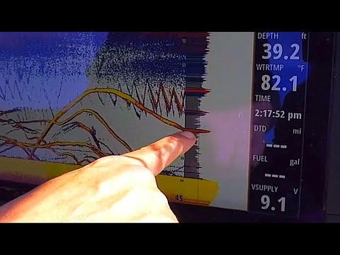 download lagu mp3 mp4 Lowrance X125 Transducer, download lagu Lowrance X125 Transducer gratis, unduh video klip Lowrance X125 Transducer
