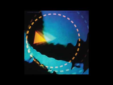 Caterina Barbieri - Gravity that Binds [IMPREC, 2017]