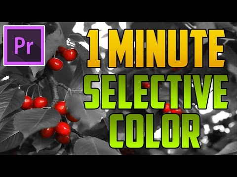 Premiere Pro Podcast Voice Tutorial