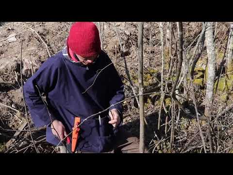 Barkympning med Martin Gustafsson