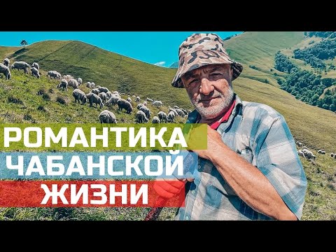 , title : 'Один день с чабаном в горах Чечни'