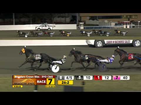 Breeders Crown Elimination - Limelight Beach - November 15, 2014