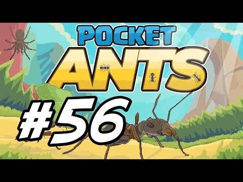 Pocket Ants - 56 - "Beehive, Termites Adjustments"