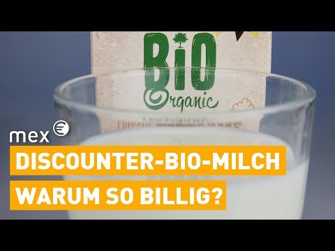 Bio-Milch zum Dumpingpreis– Was hinter den günstigen Angeboten beim Discounter steckt | mex