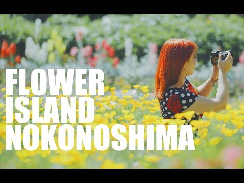 能古島的遊覽方法|花之島-能古島的遊覽方法! (How To Visit Nokonoshima | 花の島、能古島での過ごし方!)