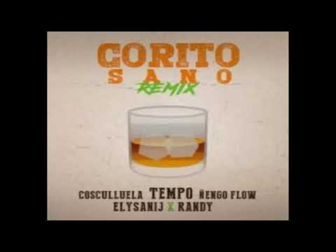 Tempo ft Randy ft Cosculluela ft Ñengo Flow ft Elysanij - Corito Sano (Remix)