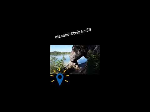 Ausgelegt - Wissens-Stein Nr.53 - Ein Spaziergang am #weissensee durch den Wald war genau richtig.