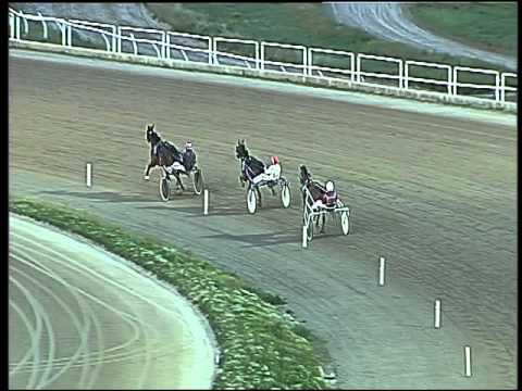 Trotto 04/03/2016 - prova di qualifica