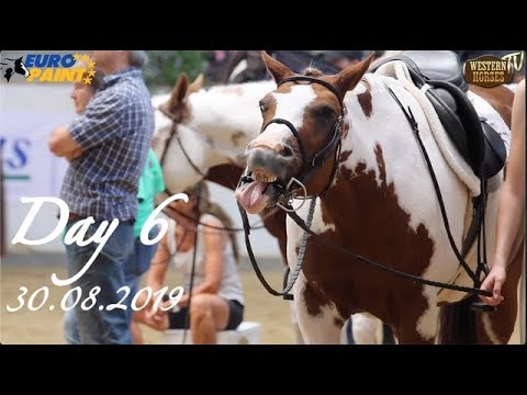 WHTV: Euro Paint 2019 - Day 6 - 30.08.2019
