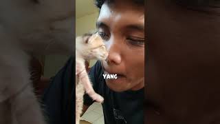 Download lagu Does My Cat Like These Treats? mp3
