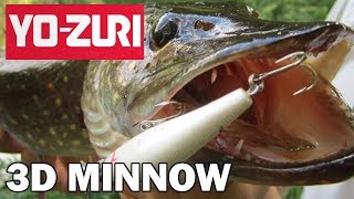 Воблеры юзури 3d минноу 100
