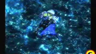 bonus track by ambassadors