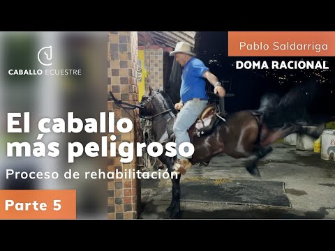 🐴🧨 El caballo más peligroso 🕉  - Proceso de rehabilitación -  Parte 5
