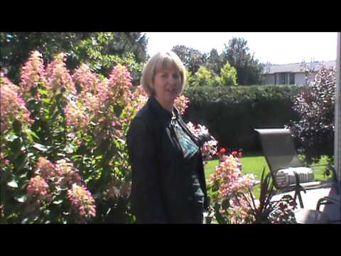 1458 Meadowbrook Road