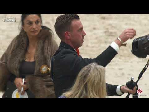 N 102 MUTABAHI AL HAWAJER   Paris 2019   Yearling Colts Class 4B