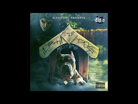 CHITO - THE ALPHA DOG