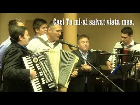 In orice clipa in viata mea   Grup Puha, Pal, Gabor, Stirb, Chira, Antone