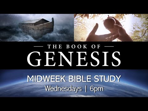 Genesis 6-8: "De-creation to Re-creation" (Pastor's Bible Study)