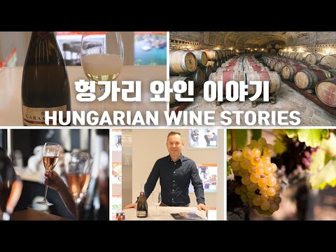 헝가리 와인 이야기 1 - 거럼바리 와이너리의 토커이 푸르민트 Magyar bortörténet 1. - A Garamvári Szőlőbirtok Tokaji Furmintja