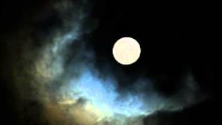 The Delmore Brothers - Southern Moon